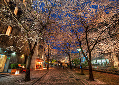US CPA exam to be held in Japan!