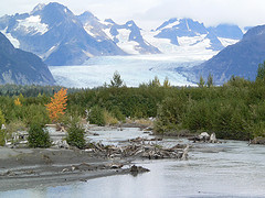 Alaska CPA CPE requirements