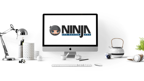 NINJA Book, NINJA CPA Book